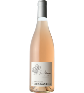 Les Antimagnes rosé