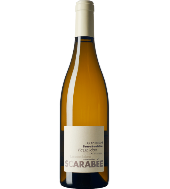 Scarabée blanc - 75 cl