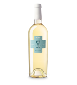 Malvasia